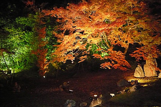 宝厳院　夜間拝観
